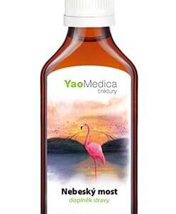 015 - Nebeský most