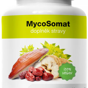 MycoMedica MycoSomat 90 kapslí