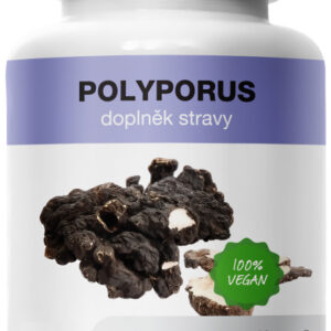 MycoMedica Polyporus 90 kapslí