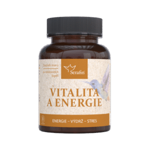 Vitalita a energie 90 ks kapslí