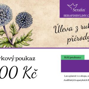 Dárkový poukaz 500 Kč 1 ks