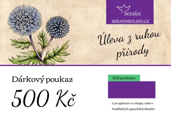 Dárkový poukaz 500 Kč 1 ks