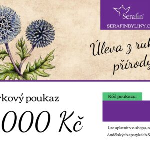 Dárkový poukaz 1000 Kč - v elektronické  podobě 1 ks