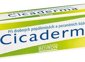 Boiron Cicaderma mast 30 g