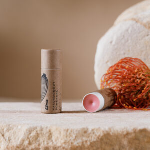 Alma Balzám na rty - Kardamomový pomeranč 12 g