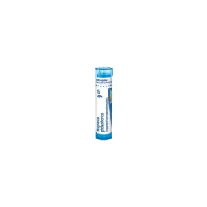 Boiron Magnesia Phosphorica 9CH gr. 4g