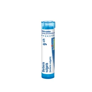 Boiron Berberis Vulgaris 9CH gr. 4g